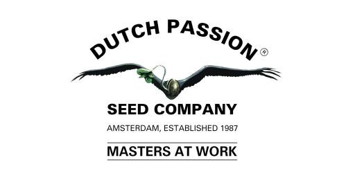 Dutch Passion