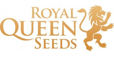 Royal Queen Seeds