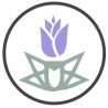 Purple Roses Supply