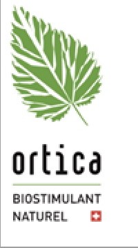 Ortica