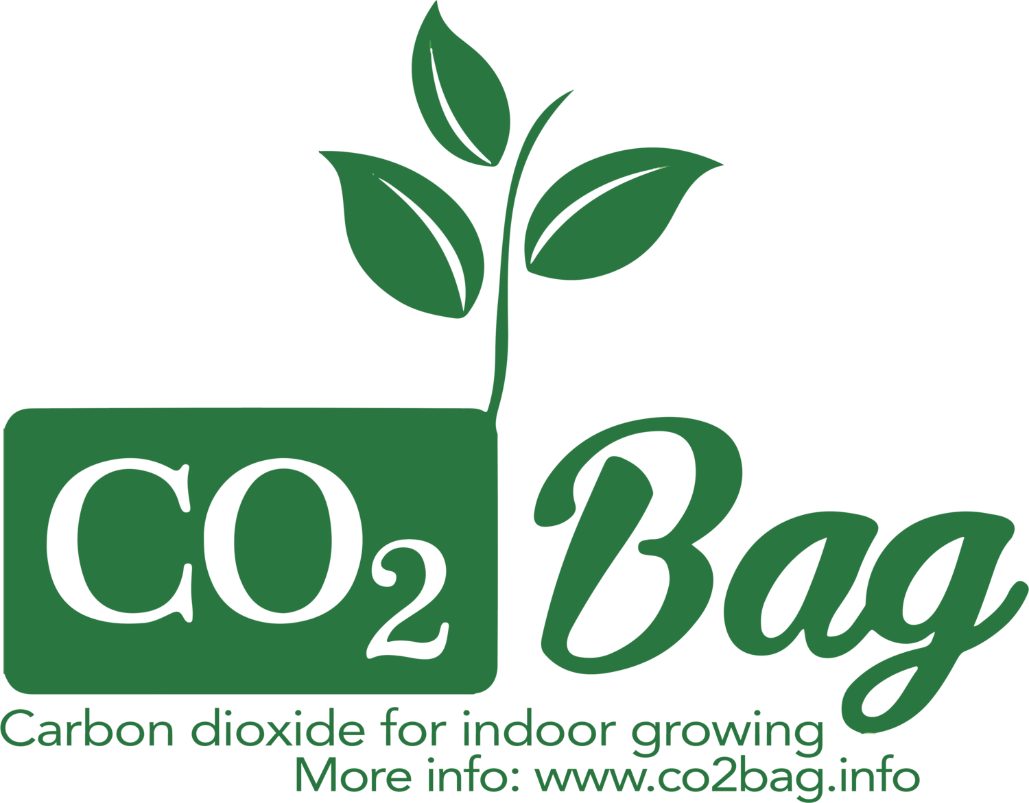 Co2 Bag
