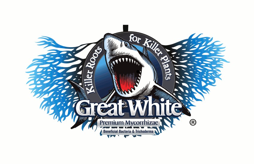 Great White Premium