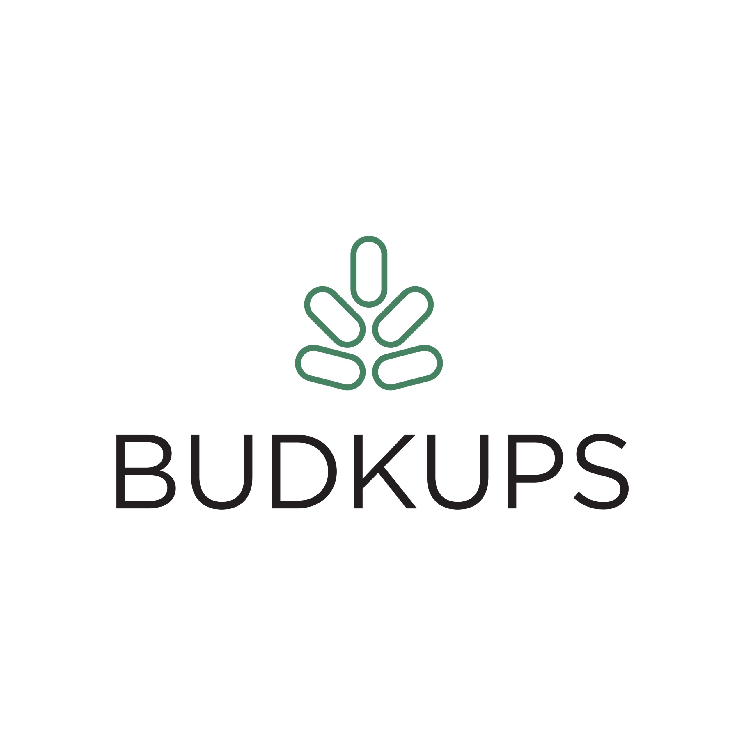 Budkups